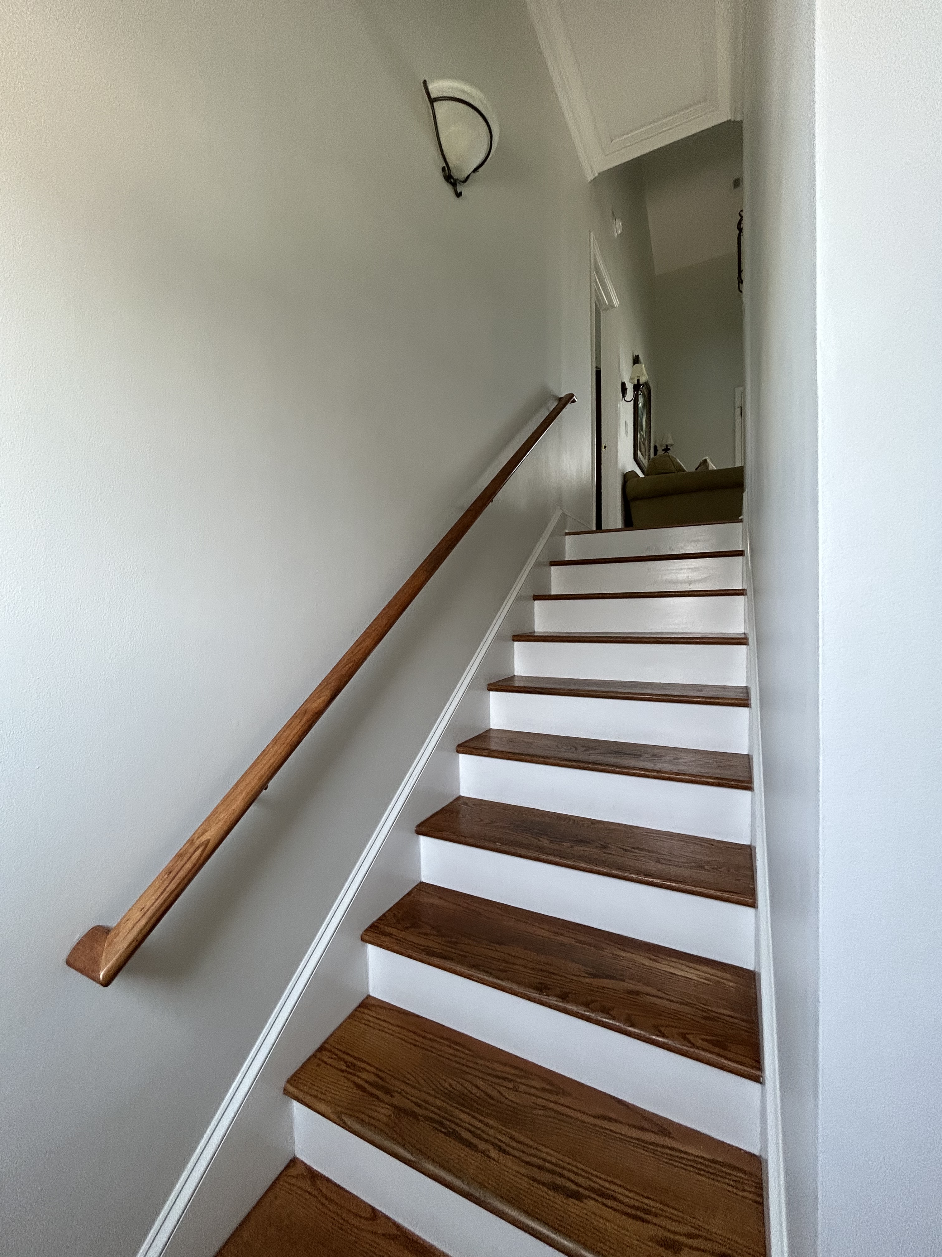 L52 Periwinkle — photo 36